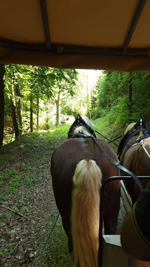 Stilvolle Ferienwohnung Im Eichsfeld Niederorschel Buitenkant foto
