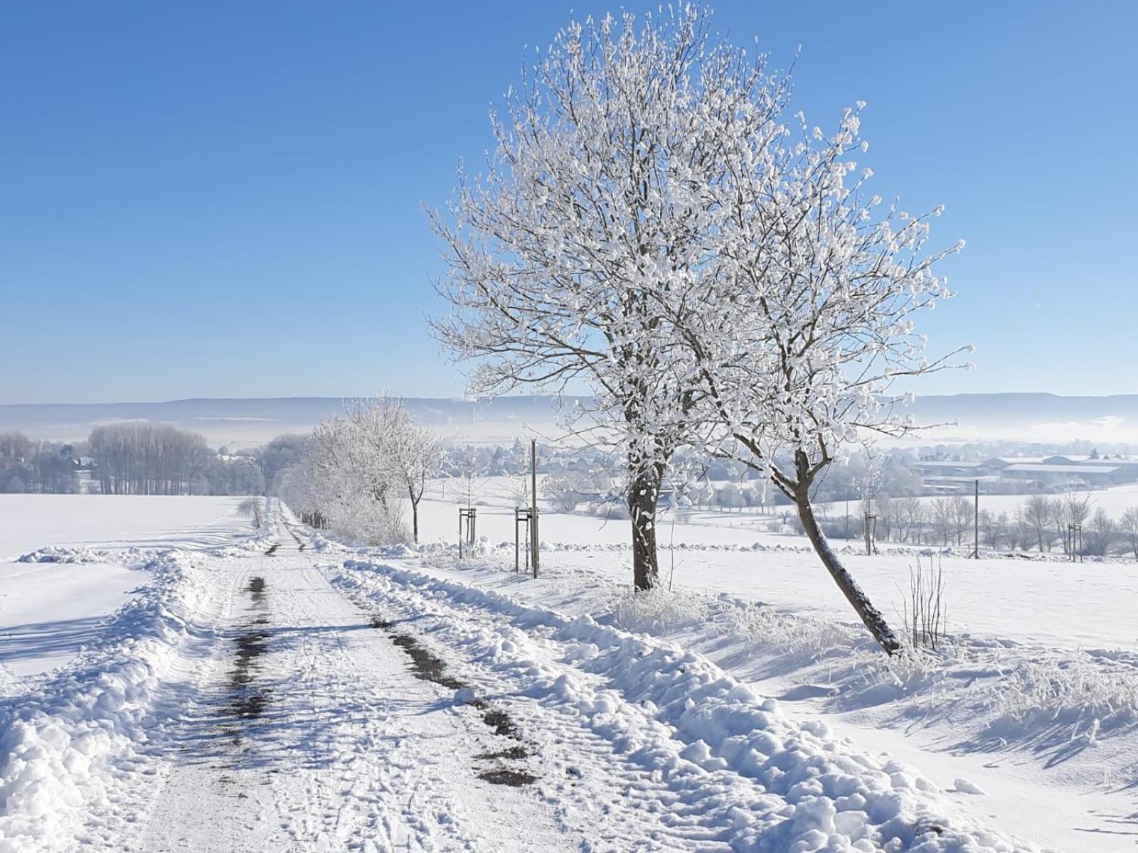 Stilvolle Ferienwohnung Im Eichsfeld Niederorschel Buitenkant foto