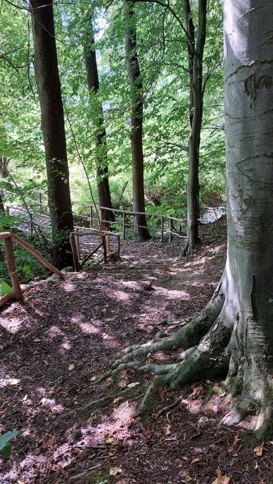 Stilvolle Ferienwohnung Im Eichsfeld Niederorschel Buitenkant foto