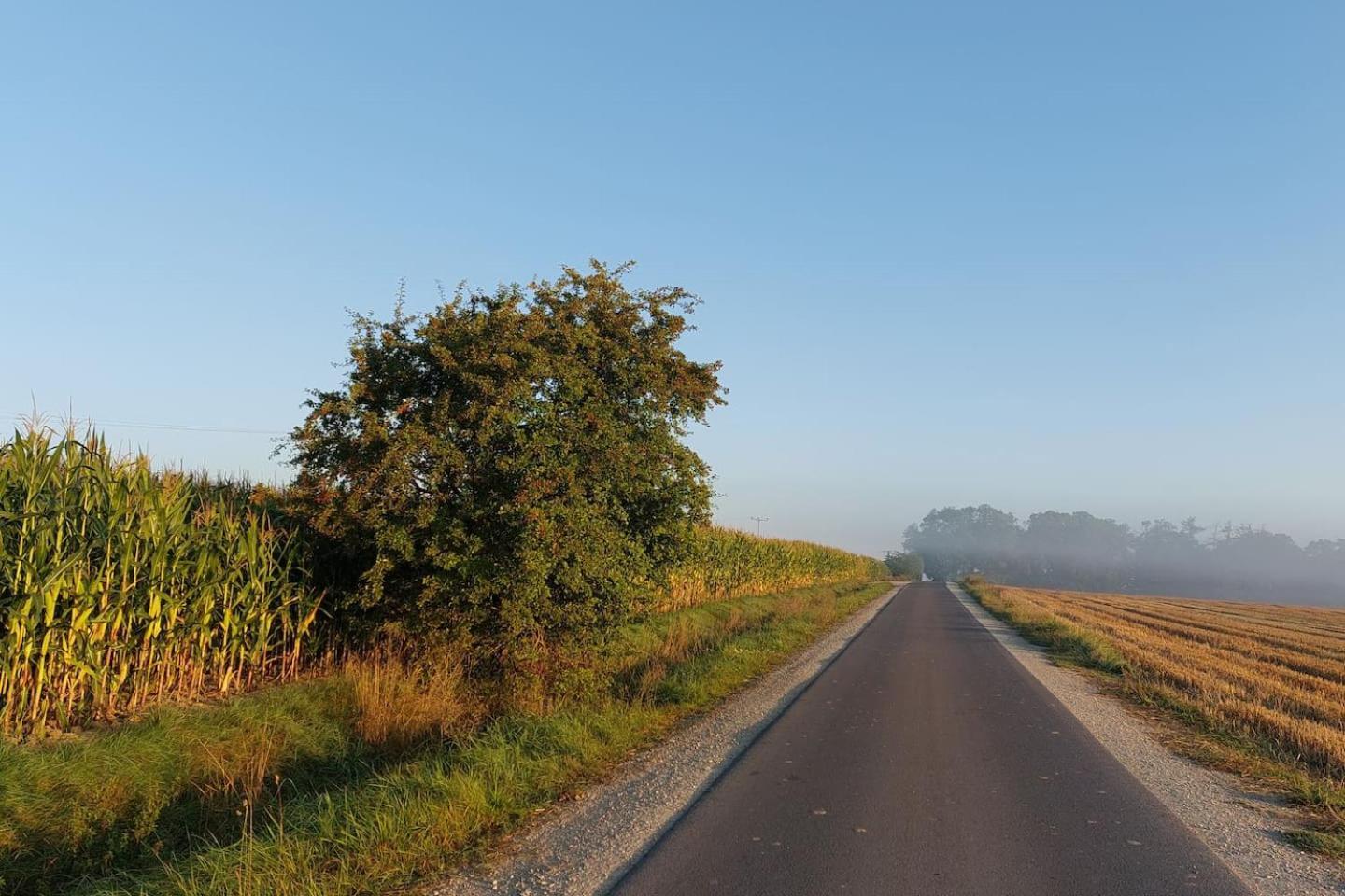 Stilvolle Ferienwohnung Im Eichsfeld Niederorschel Buitenkant foto